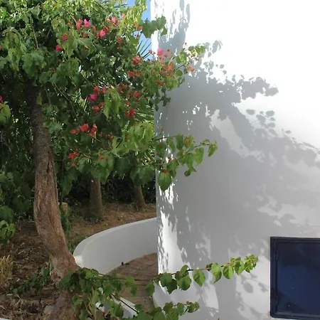 Casa Da Buganvilia *